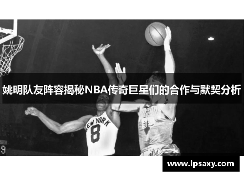 姚明队友阵容揭秘NBA传奇巨星们的合作与默契分析