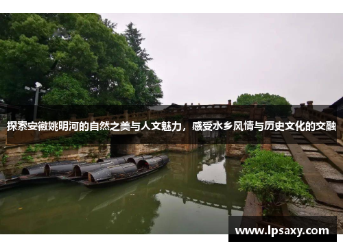 探索安徽姚明河的自然之美与人文魅力，感受水乡风情与历史文化的交融
